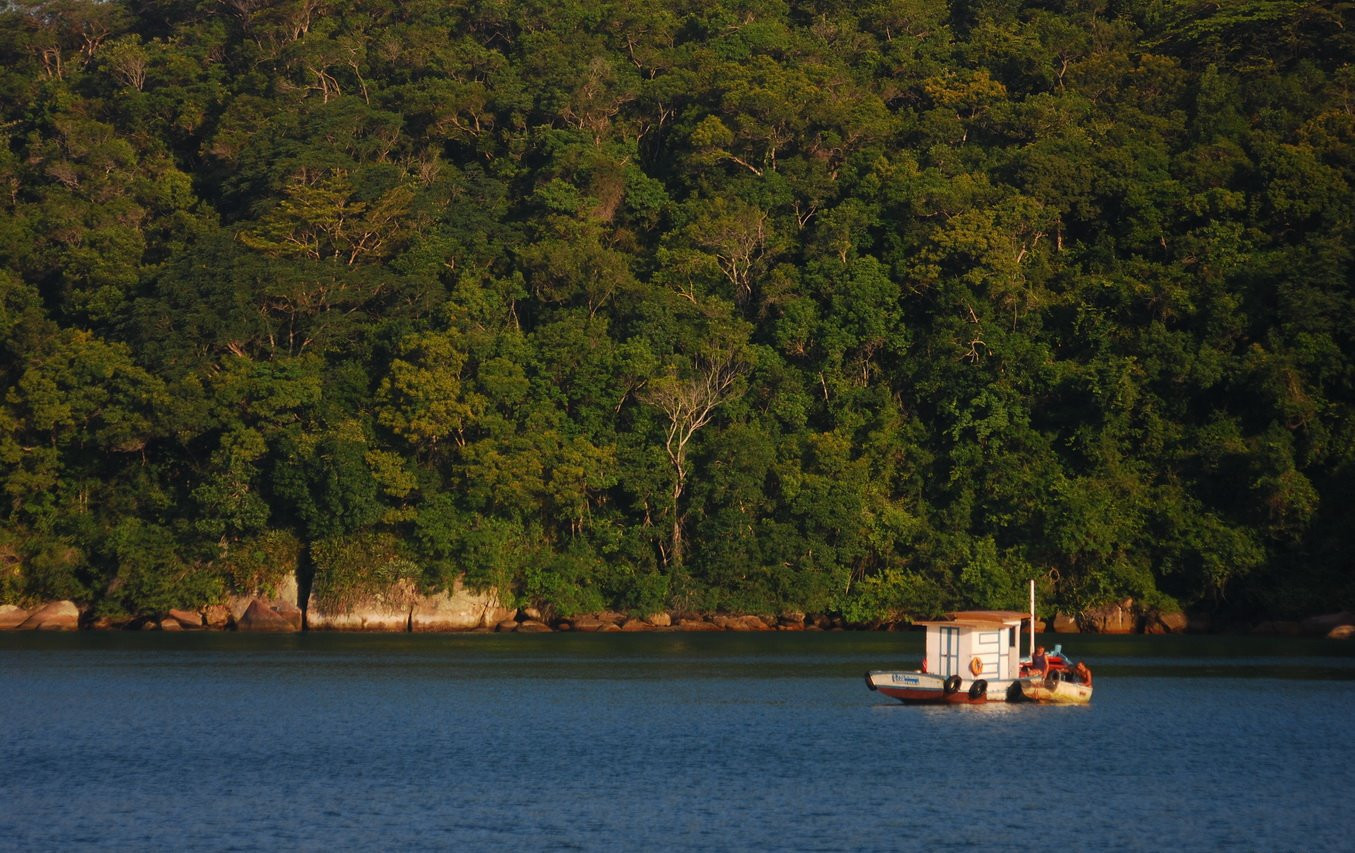 Природа острова Илья-Гранди, Бразилия. Фото 3 – фотографии Бразилии