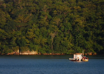 Природа острова Илья-Гранди, Бразилия. Фото 3 – фотографии Бразилии