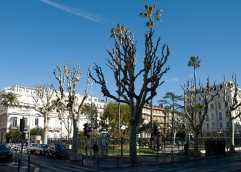 Улица в Ницце, Франция. Фото 5 – фотографии Франции