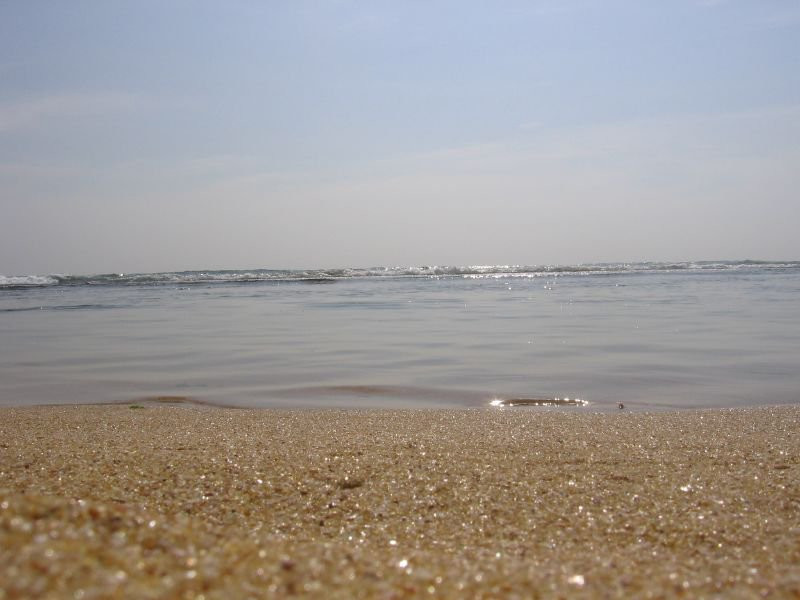 Хиккадува, Шри-Ланка, фото № 52532 – фотографии Шри-Ланки