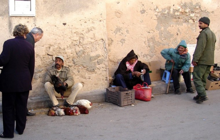 Жители острова Табарка, Северный Тунис – фотографии Туниса