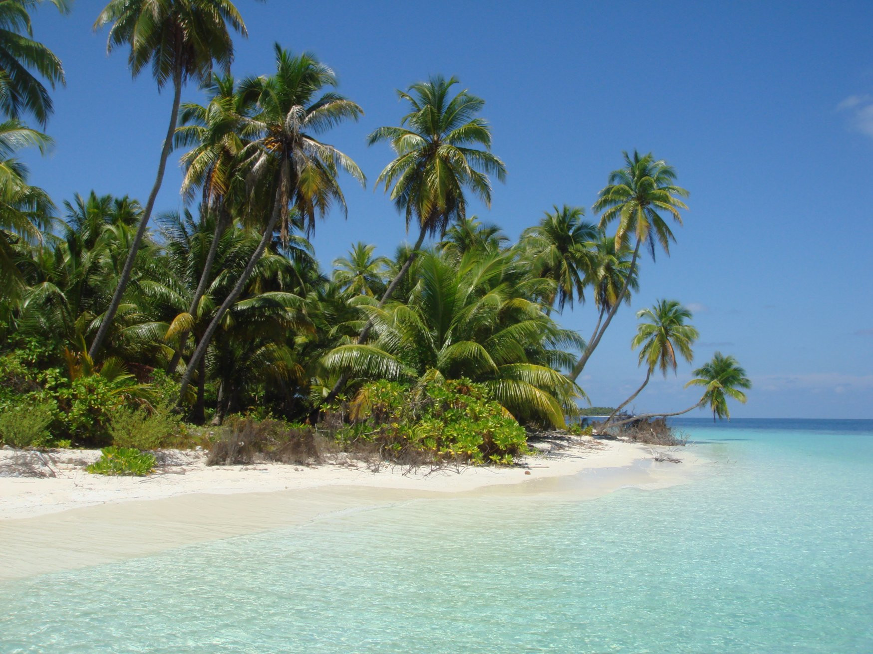 Пляж в Гаафу Алифу Атолл, Мальдивы. Фото 4 – фотографии Мальдивских островов