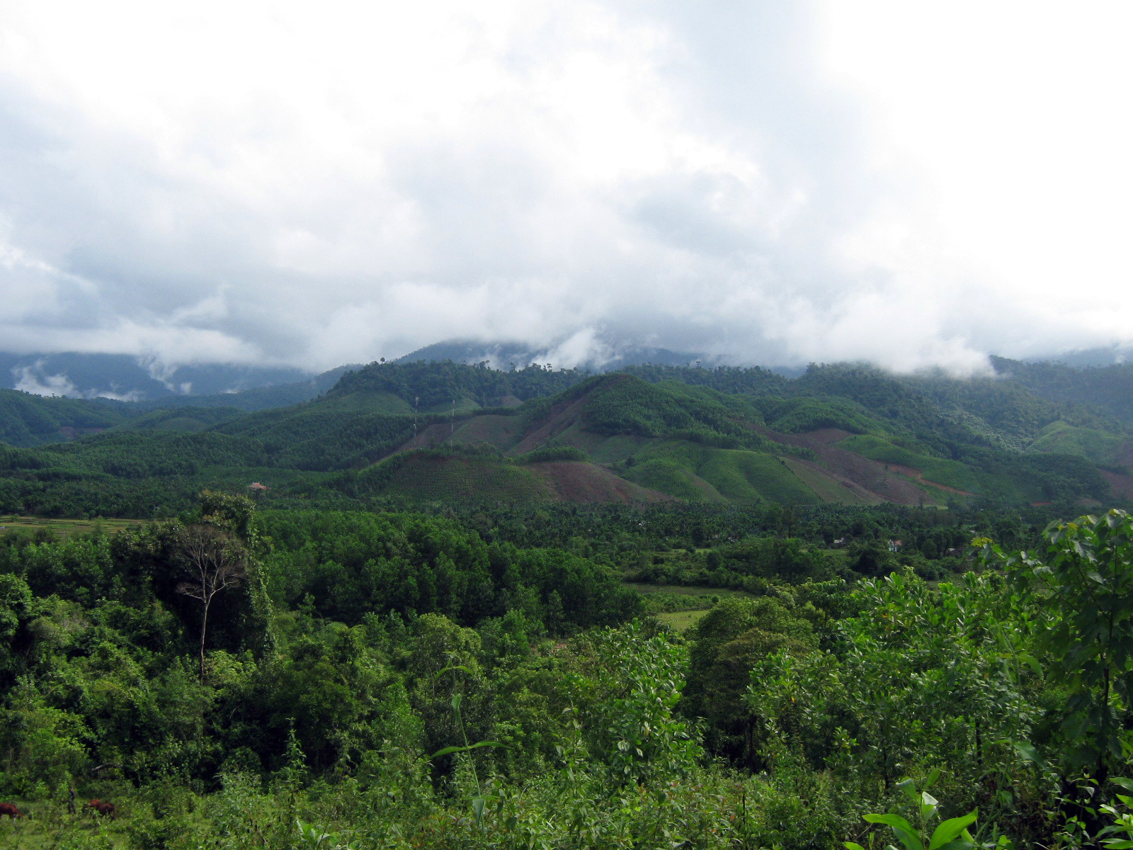 Батьма национальный парк (Bach Ma National Park) – фотографии Вьетнама