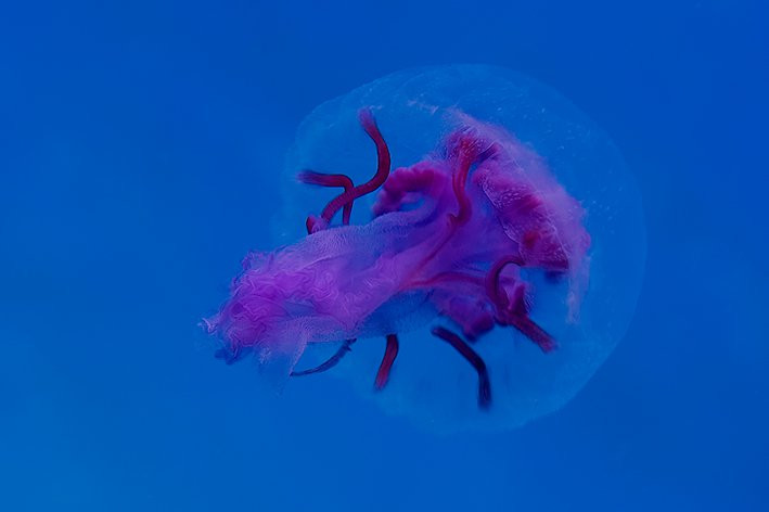 Дахаб, Египет, фото № 34968 – фотографии Египта