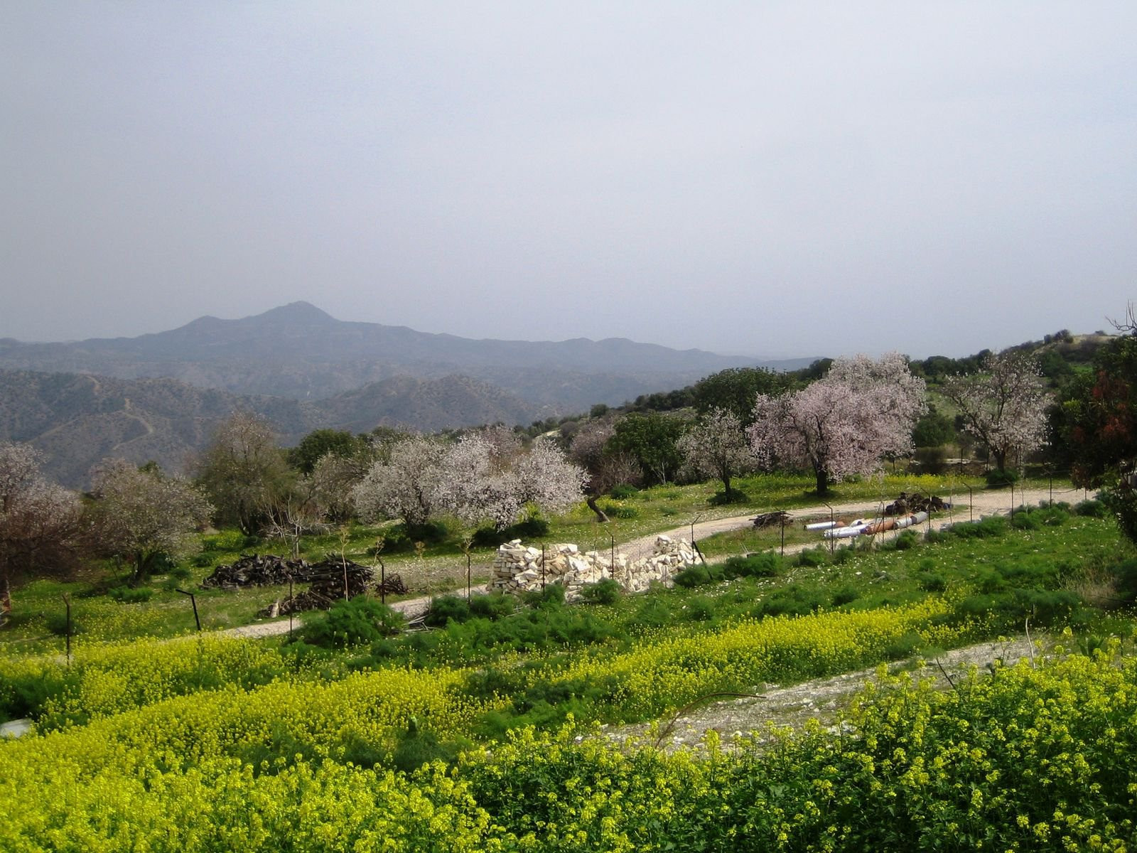 Лефкара, Кипр, фото № 38136 – фотографии Кипра