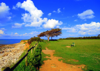 Природа на острове Олерон, Франция. Фото 8 – фотографии Франции