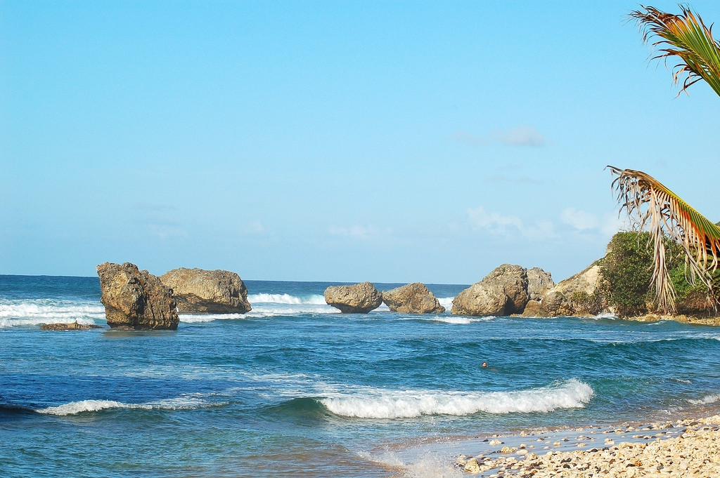 Море в Батшиба, Барбадос. Фото 13 – фотографии Барбадоса