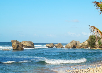 Море в Батшиба, Барбадос. Фото 13 – фотографии Барбадоса