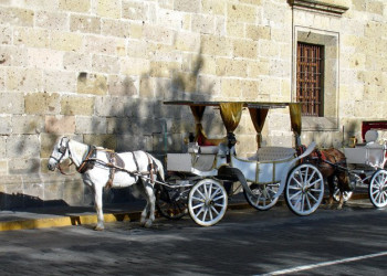 Гвадалахара, Мексика, фото № 43445 – фотографии Мексики