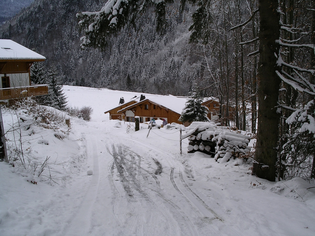 Дома в Ла-Шапель-д'Абонданс, Франция – фотографии Франции
