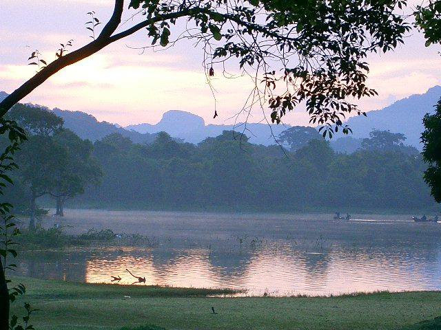 Дамбулла, Шри-Ланка, фото № 51093 – фотографии Шри-Ланки