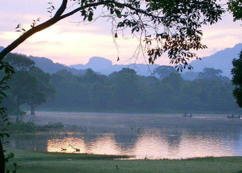 Дамбулла, Шри-Ланка, фото № 51093 – фотографии Шри-Ланки