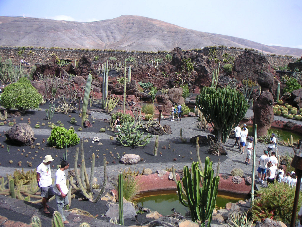 Кактусовый сад (Jardin de Cactus) на острове Лансароте – фотографии Канарских островов