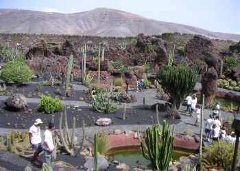 Кактусовый сад (Jardin de Cactus) на острове Лансароте – фотографии Канарских островов
