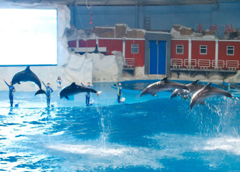 Полярный Океанский Мир (Polar Ocean World) – фотографии Китая