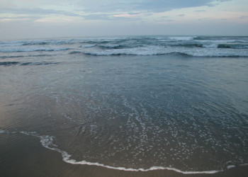 Кауита, Лимон провинция, Коста-Рика, фото № 40038 – фотографии Коста-Рики