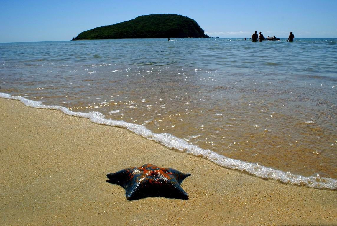 Звезда на пляже в Лазовском заповеднике, Россия – фотографии России