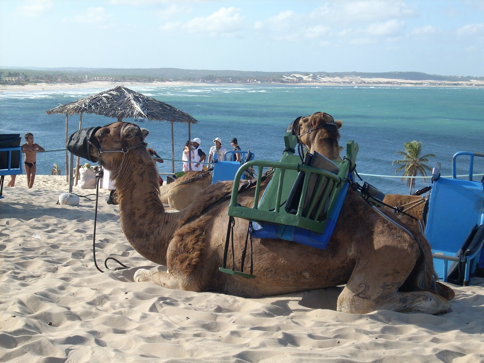 Натал, Бразилия, фото № 59647 – фотографии Бразилии