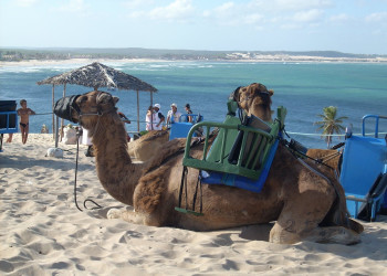 Натал, Бразилия, фото № 59647 – фотографии Бразилии