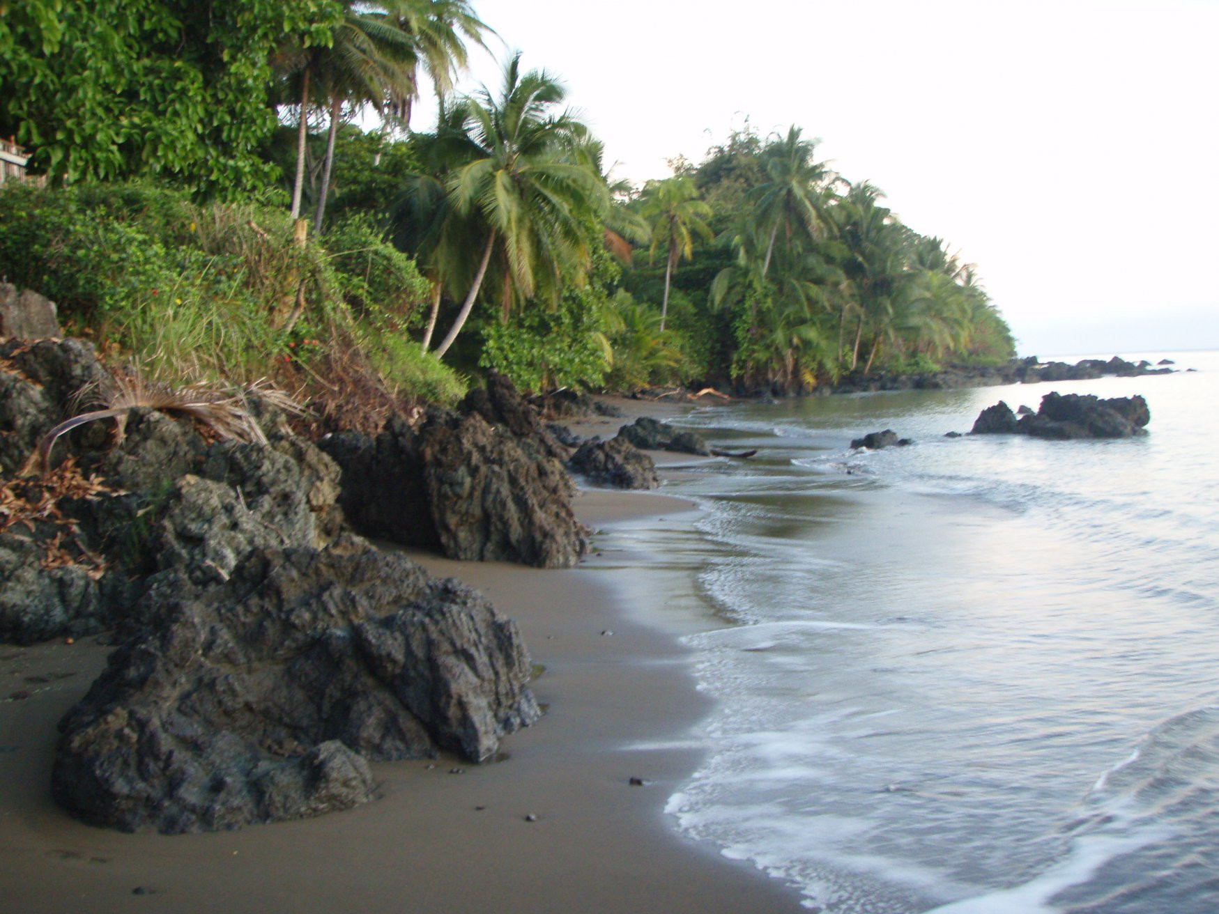 Дрейк Бэй, Пунтаренас провинция, Коста-Рика, фото № 40481 – фотографии Коста-Рики