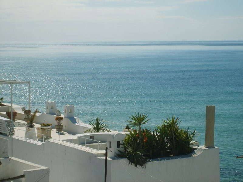 Северный Тунис. Фото 3 – фотографии Туниса