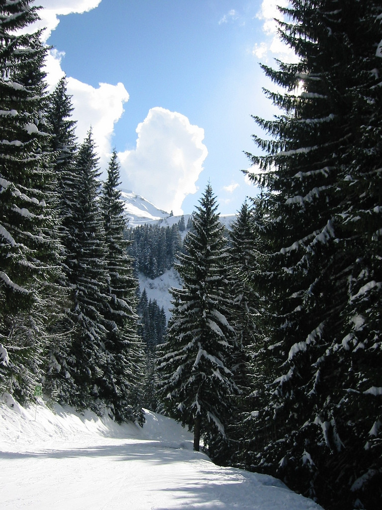 Природа в Порт-дю-Солей, Франция – фотографии Франции