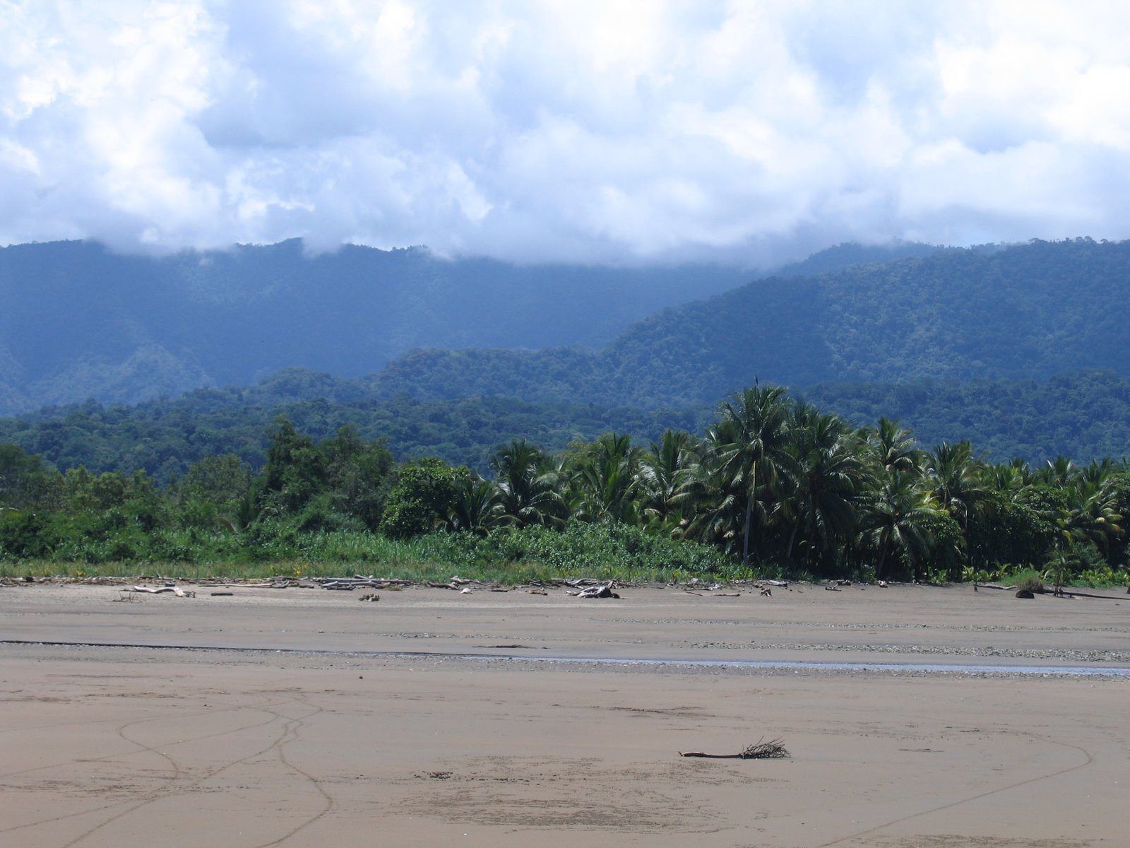 Плайя Увита, Пунтаренас провинция, Коста-Рика, фото № 40974 – фотографии Коста-Рики