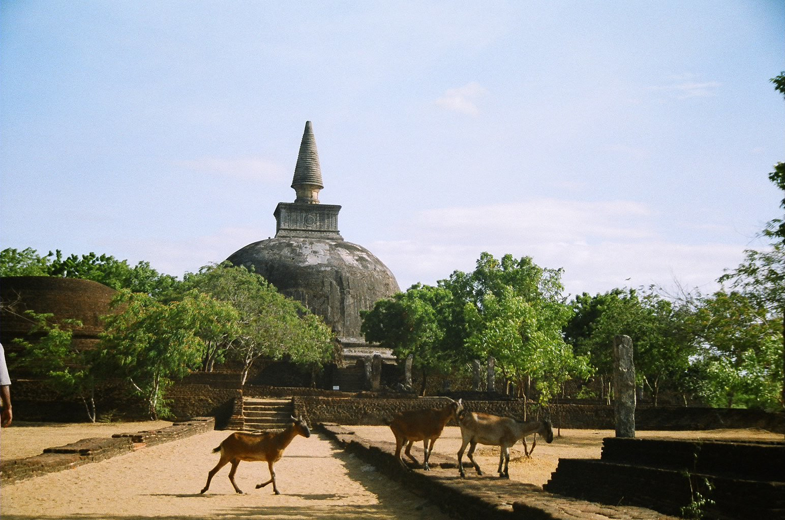Полоннарува, Шри-Ланка, фото № 52126 – фотографии Шри-Ланки
