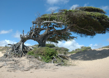 Натал – фотографии Бразилии