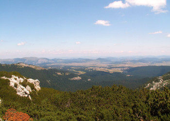 Панорамный вид в Дурмитор, Черногория. Фото 11 – фотографии Черногории
