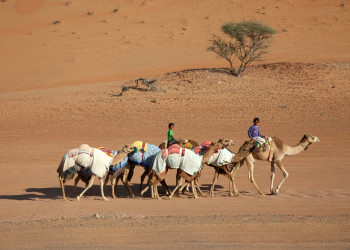 Оман, фото № 5226 – фотографии Омана