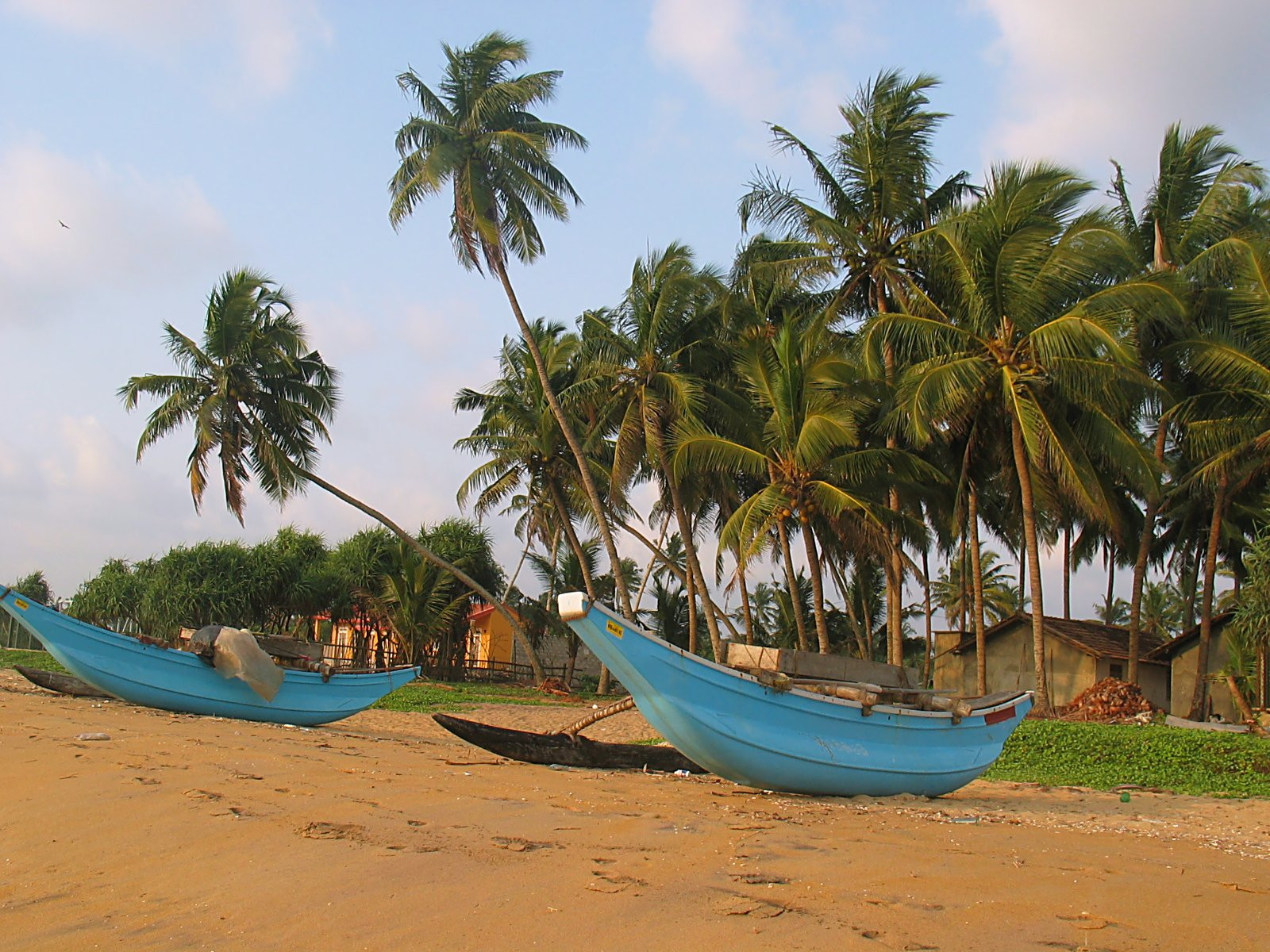 Ваддува, Шри-Ланка, фото № 50809 – фотографии Шри-Ланки