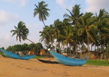 Ваддува, Шри-Ланка, фото № 50809 – фотографии Шри-Ланки