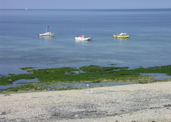 Берег на острове Ре, Франция. Фото 2 – фотографии Франции