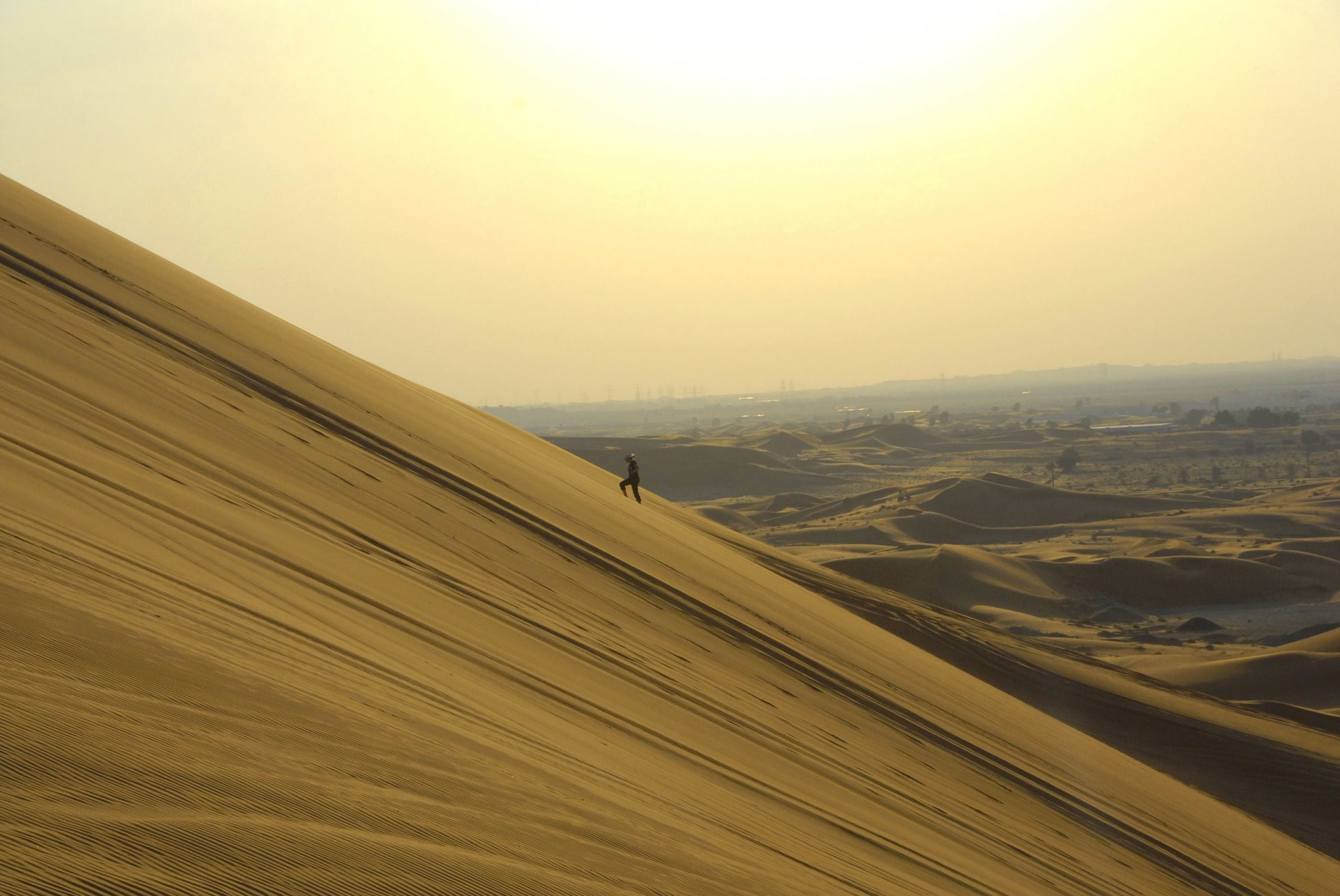 ОАЭ, фото № 1566 – фотографии ОАЭ