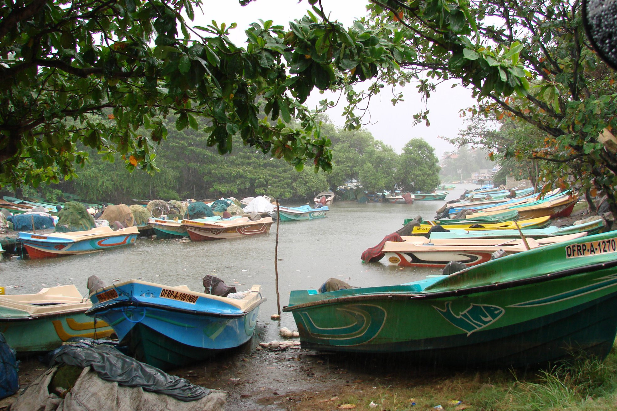 Негомбо, Шри-Ланка, фото № 51880 – фотографии Шри-Ланки