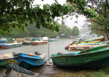 Негомбо, Шри-Ланка, фото № 51880 – фотографии Шри-Ланки