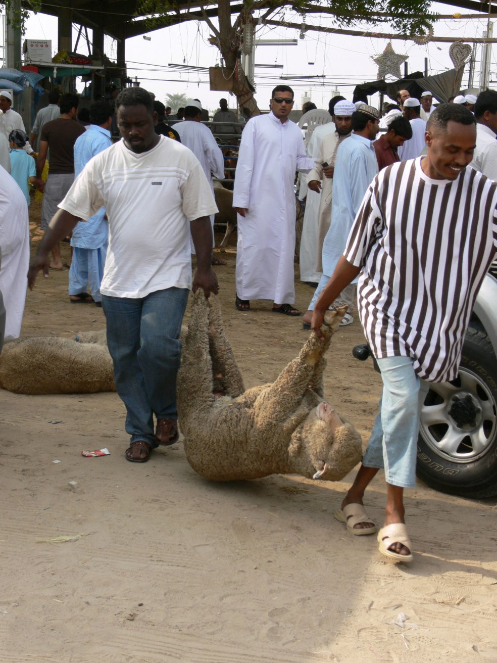 Дубай, ОАЭ, фото № 60742 – фотографии ОАЭ