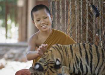 Животные в Канчанабури, Тайланд – фотографии Таиланда