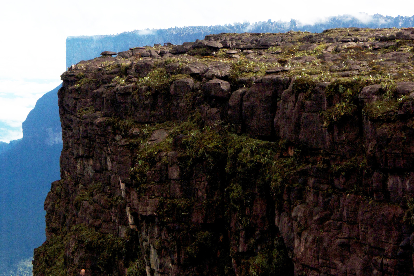 Гора Рорайма. Венесуэла. Фото 16 – фотографии Венесуэлы