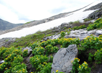 Шорский Национальный парк, Россия – фотографии России