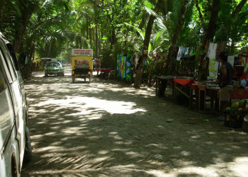 Доминикаль, Пунтаренас провинция, Коста-Рика, фото № 40424 – фотографии Коста-Рики