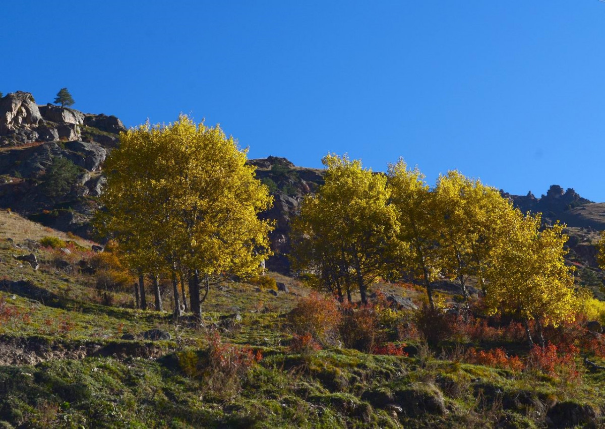 Адыл-Су, Кабардино-Балкария, Россия – фотографии России