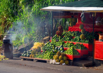 Шри-Ланка, фото № 1138 – фотографии Шри-Ланки