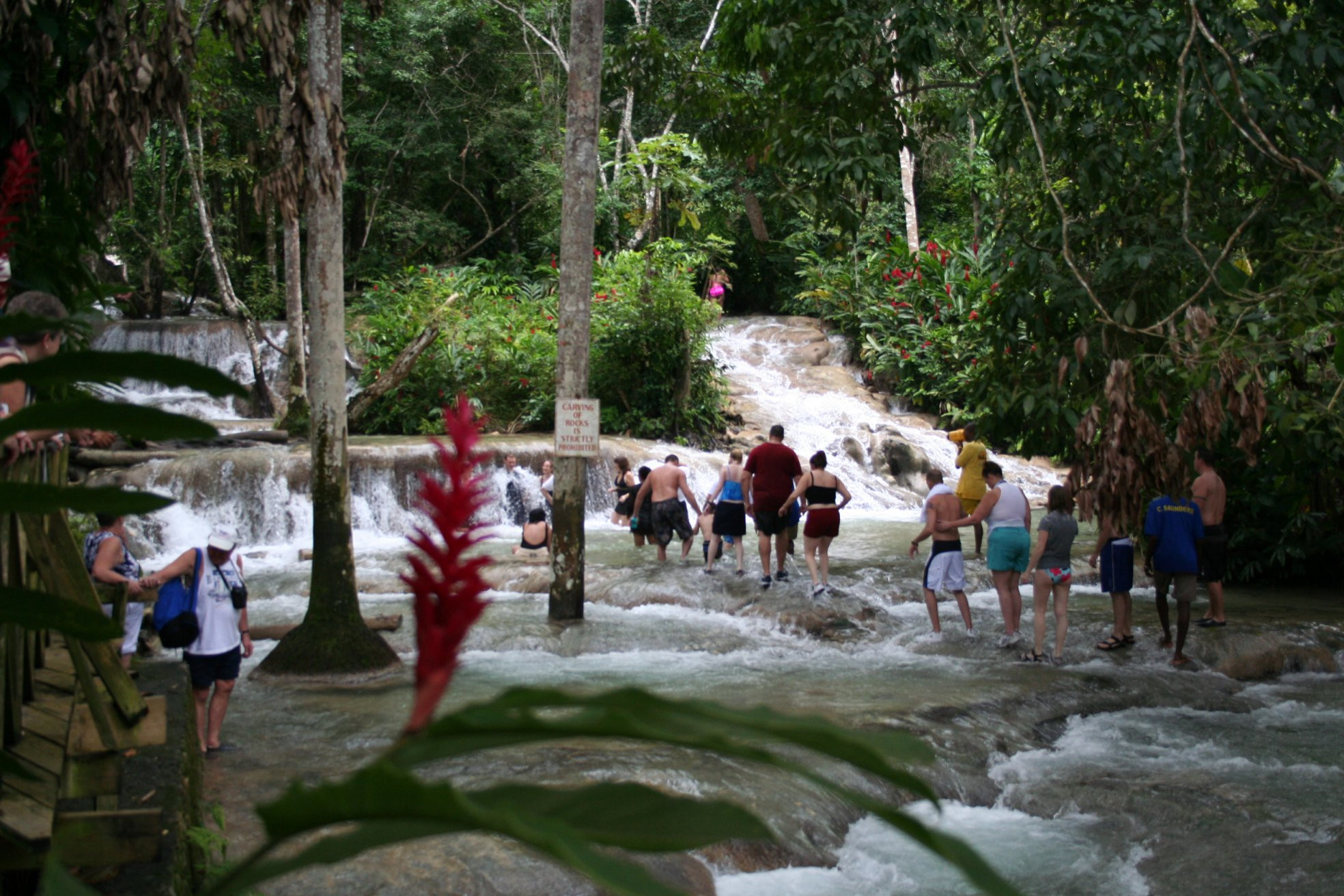 Экскурсия в Очо Риос, Ямайка – фотографии Ямайки