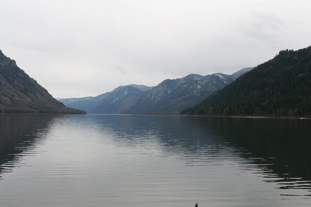 Телецкое озеро, Россия. Фото 12 – фотографии России