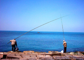 Александрия, Египет, фото № 34854 – фотографии Египта