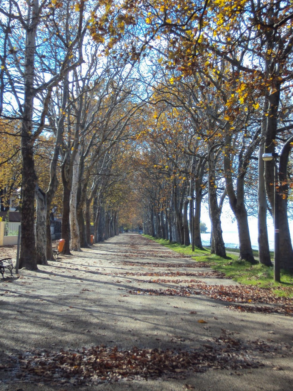 Балатонфёльдвар, Балатон озеро, Венгрия, фото № 69804 – фотографии Венгрии