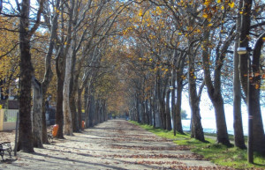 Балатонфёльдвар, Балатон озеро, Венгрия, фото № 69804 – фотографии Венгрии
