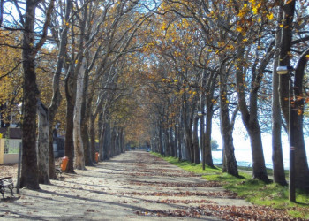 Балатонфёльдвар, Балатон озеро, Венгрия, фото № 69804 – фотографии Венгрии